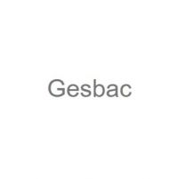 Logo GESBAC
