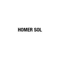 Logo HOMER SOL