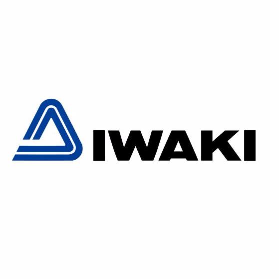 Logo de IWAKI