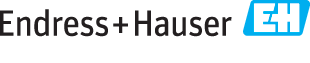 Logo de Endress+Hauser