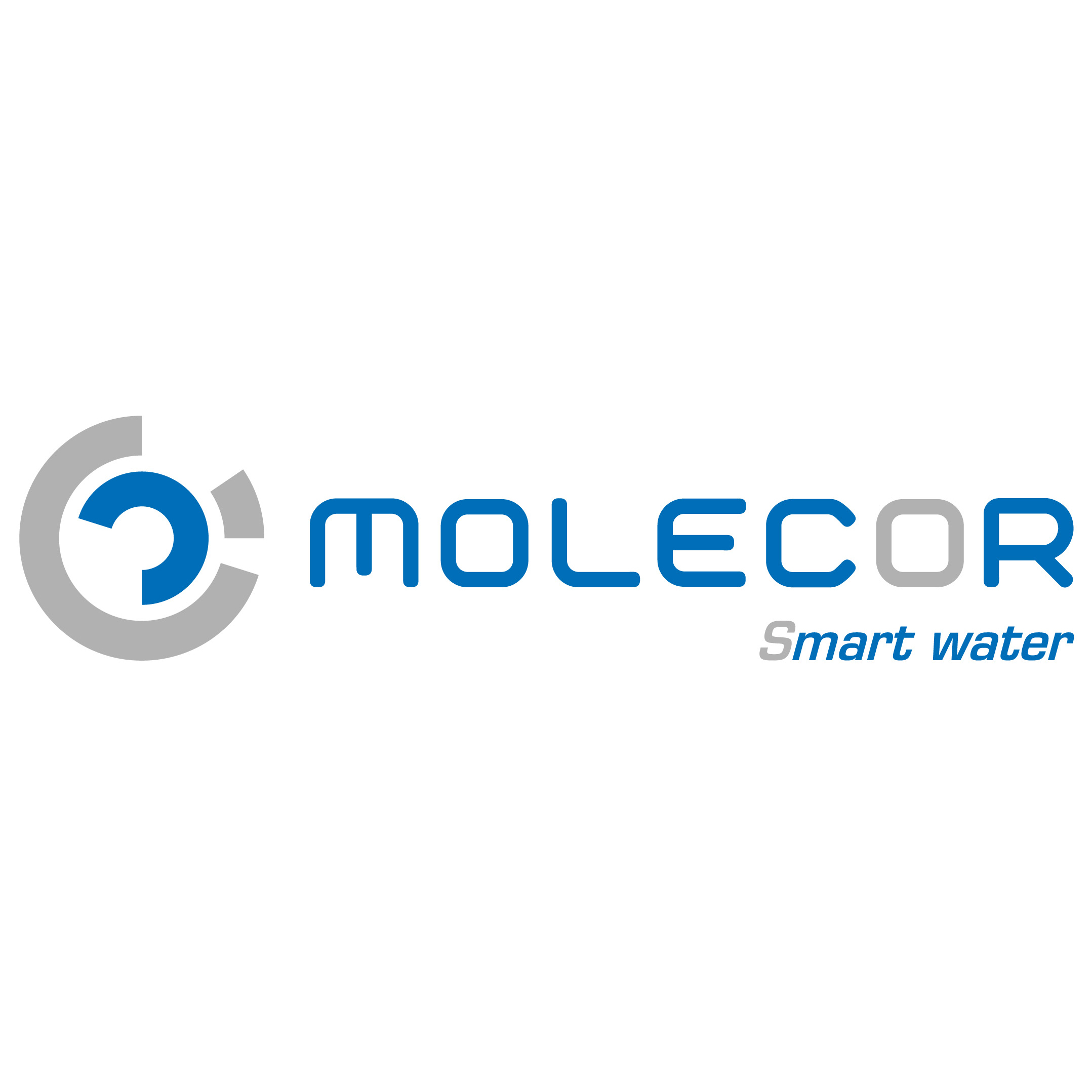 Logo MOLECOR