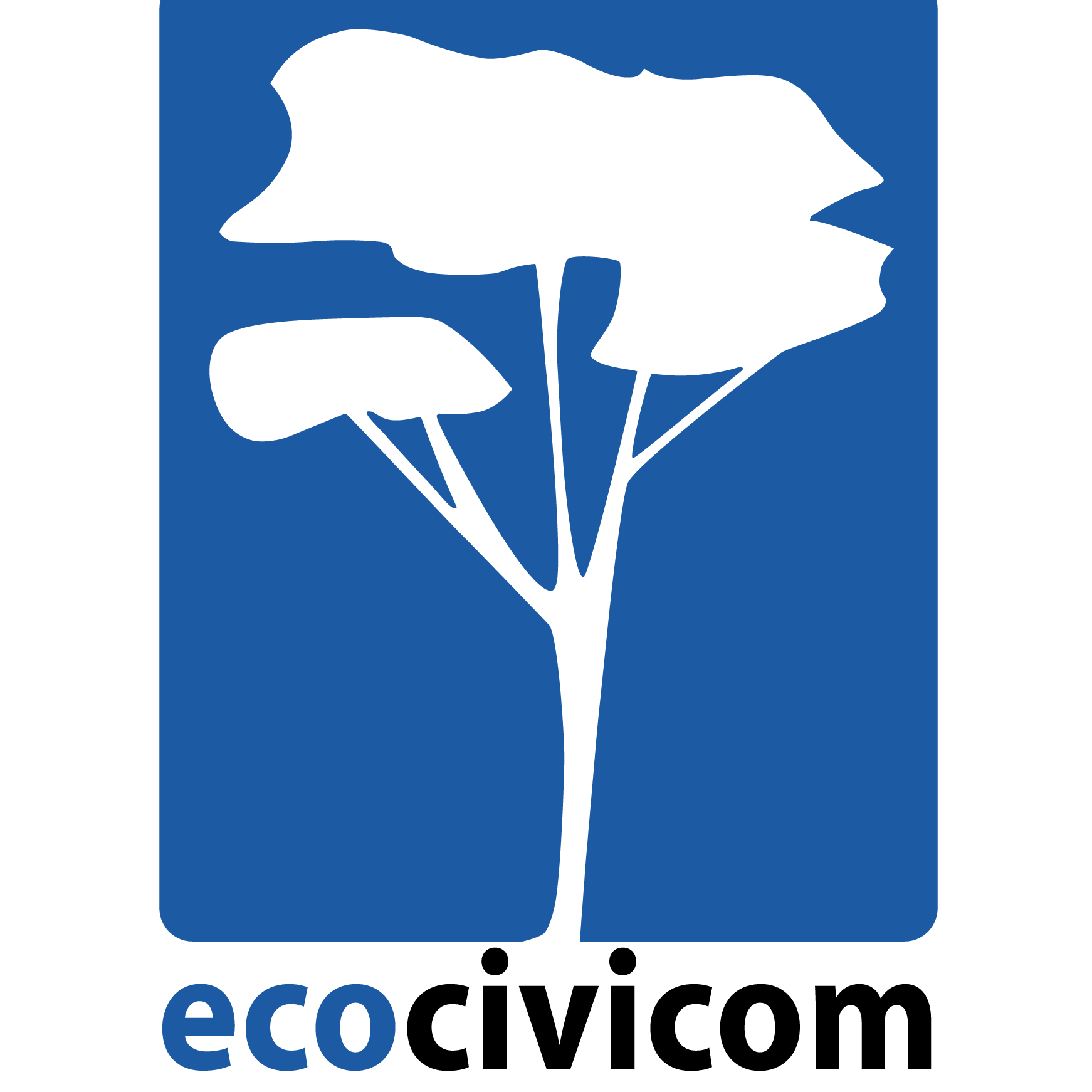 Logo ECOCIVICOM