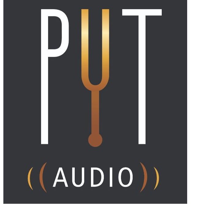 Logo PYT AUDIO