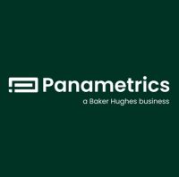 Logo de PANAMETRICS®