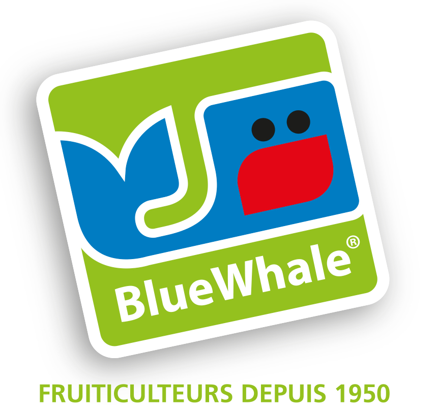 Logo BLUE WHALE COMPANY