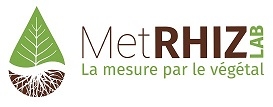 Logo METRHIZLAB