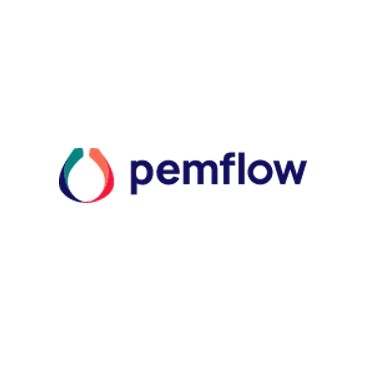 Logo PEMFLOW