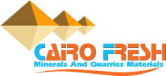 Logo Cairo fresh